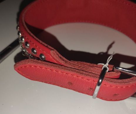 Нашийник Leather Rivet