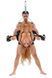 Гойдалка для сексу Whipsmart Pleasure Swing, чорний