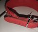 Нашийник Leather Rivet