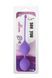 Вагинальные шарики SEE YOU IN BLOOM DUO BALLS 36MM PURPLE