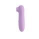 Вакуумний вібратор Chisa Irresistible Touch Purple