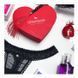 Пояс для чулок Obsessive Loventy S/M