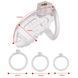 Клетка для пениса LOCKINK SEVANDA Plastic Penis Chastity Cage - Transparent