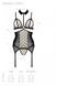 DOMINICA CORSET beige XXL/XXXL - Passion