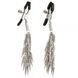 Зажимы&nbsp;на&nbsp;соски&nbsp;с&nbsp;шипами Silver Metall