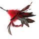 Метелочка-щекоталка Sportsheets - PLEASURE FEATHER RED на веревочной петле, Червоний
