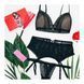 Комплект відкрита груди Obsessive LUSTELLA SET S / M сітка