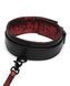 Поводок Fifty Shades of Grey Sweet Anticipation Reversible Faux Leather Collar and Lead