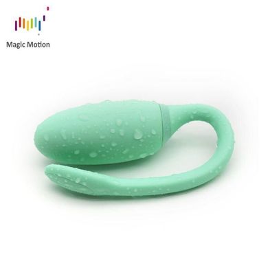 Смарт-тренажер Кегеля Magic Motion Kegel Rejuve, бюджетний варіант, для тренувань і задоволення