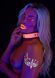 Нашийник з повідцем, що світиться в темряві Taboom Glow In the Dark Collar and Chain Leash, рожевий