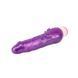 Вибратор Basic Luv Theory Beginner Rider-Purple Chisa 20,5 см