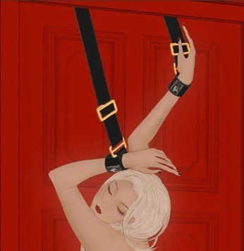Обмежувачі для рук над дверимаUPKO Over the Door Hand Restraints
