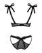 Полупрозрачный эротический комплект Obsessive Obsessivia 2pcs set black L/XL, бюстгальтер и трусики,