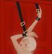 Обмежувачі для рук над дверимаUPKO Over the Door Hand Restraints