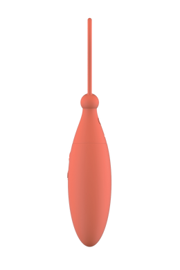 Виброяйцо с дистанционным управлением Dream Toys CHARISMATIC CELIA