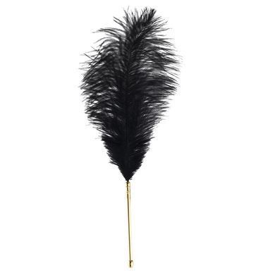 Лоскутка LOCKINK SEVANDA Natural Peacock Flirting Feather Tickler, перо павлина