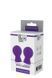 Стимуляторы на соски PLEASURE PUMPS NIPPLE SUCKERS PURPLE