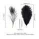 Лоскутка LOCKINK SEVANDA Natural Peacock Flirting Feather Tickler, перо павлина