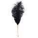 Лоскутка LOCKINK SEVANDA Natural Peacock Flirting Feather Tickler, перо павлина
