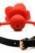 Силіконовий кляп з трояндою Master Series: Blossom Silicone Rose Gag &ndash; Red