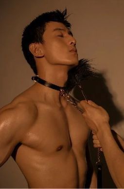 Поводок, итальянская кожа, с металлической цепью, Leather Cosplay Leash UPKO