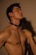 Поводок, итальянская кожа, с металлической цепью, Leather Cosplay Leash UPKO