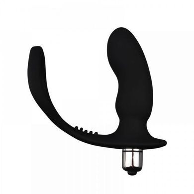 CH32156 Анальная&nbsp;пробка&nbsp;с&nbsp;кольцом&nbsp;GK&nbsp;power&nbsp;cockring&nbsp;with&nbsp;ass-gasm&nbsp;Chisa