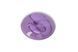 Вибратор для пар FairyGasm PleasureBerry violet, зарядный кейс, пульт ДУ