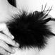 Метёлочка из перьев Pom Pom Bijoux Indiscrets