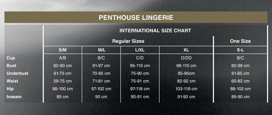 Бодістокінг з топом та панчохами на підв'язках Penthouse - Sex Dealer Black S/L, Черный