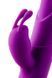 Подвійний вібратор кролик Dream Toys VIBES OF LOVE FLORAL FANTASY PURPLE