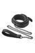 Нашийник з повідцем Dream Toys BLAZE COLLAR LEASH DIAMOND BLACK