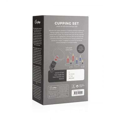 Набор&nbsp;вакуумных&nbsp;помп&nbsp;для сосков Easytoys&nbsp;Cupping&nbsp;Set, Прозрачный