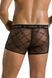 Мужские прозрачные боксеры Passion Short James S/M, черные, сетка