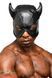 Маска з рогами Master Series: Dungeon Demon Bondage Mask with Horns, чорна
