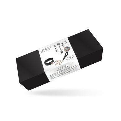 Ошейник с поводком Liebe Seele Black Organosilicon Collar with Leash, экокожа