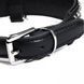 Нашийник Leather Crystal Diamonds, Black