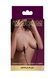 Затискачі на соски Taboom Nipple Play Heavy Duty Adjustable Clamps з чорним ланцюжком