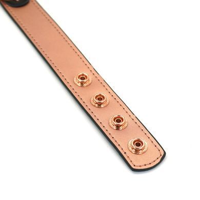 Ошейник с зажимами для сосков Liebe Seele Rose Gold Memory Collar with Nipple Clamps, кожа