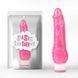 CH97156 вібратор Basic Luv Theory Beginner Rider-Pink Chisa 20,5 см без упаковки