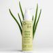 Гель для интимной гигиены Orgie &ndash; Bio Aloe Vera Organic Intimate Gel (100 мл) с алоэ вера