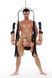 Гойдалки для сексу Whipsmart Bondage Pleasure Swing чорні