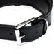 Ошейник Leather lackered, Black