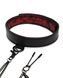 Ошейник с зажимами на соски Sweet Anticipation Fifty Shades of Grey Collar Nipp