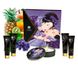 Подарунковий набір Shunga GEISHAS SECRETS – Exotic Fruits: для шикарної ночі вдвох