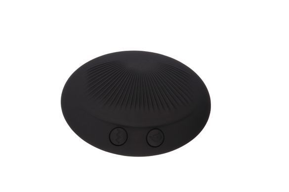 Массажер&nbsp;простаты&nbsp;Chisa&nbsp;Black&nbsp;Mont&nbsp;P-spot&nbsp;Probe